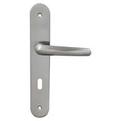 Online 2 poignées de porte sur plaque rond avec serrure Amga, entraxe 195mm, coloris gris satiné
