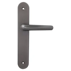 Sale 2 poignées de porte sur plaque rond Amga, entraxe 195mm, coloris titane