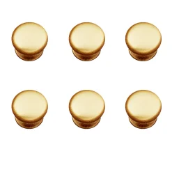 Nesu 6 Un. poignées de meuble en laiton brossé - diamètre 30MM* Bouton De Meuble