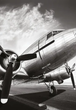 Dada Art Affiche avion noir et blanc L.50 x H.70cm* Affiche
