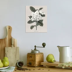Dada Art Affiche fleur sauvage blanche l.24 x l.30 cm* Affiche