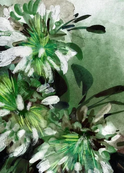 Dada Art Affiche fleurs de jasmin L.40 x H.50cm* Affiche