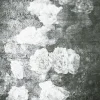Sale Dada Art Affiche fleurs noir et blanc 40 x 50 cm