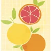 Best Dada Art Affiche les fruits de la côte d'azur l.40 x H.50 cm jaune-orange