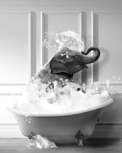 Hot Dada Art Affiche éléphant baignoire l.40 x H.50 cm