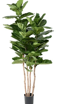 Arbre figuier Lyrata multi Artificiel* Plante Artificielle