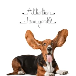 Clearance Bijoux De Mur Attention chien gentil - Sculpture fil de fer 40-50 cm -