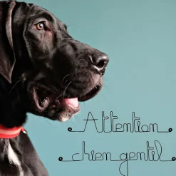 Clearance Bijoux De Mur Attention chien gentil - Sculpture fil de fer 40-50 cm -