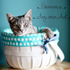 Bijoux De Mur Bienvenue chez mon chat - Sculpture fil de fer 50-60 cm -* Objet Décoratif Mural