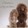 Clearance Bijoux De Mur Bienvenue chez nos chiens - Sculpture fil de fer 50-60 cm -