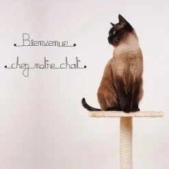 Bijoux De Mur Bienvenue chez notre chat - Sculpture fil de fer 50-60 cm -* Objet Décoratif Mural