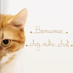 Bijoux De Mur Bienvenue chez notre chat - Sculpture fil de fer 50-60 cm -* Objet Décoratif Mural