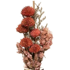 Atmosphera Créateur D'Intérieur Bouquet de fleurs séchées en vase Wonder - Rouge- Atmosphera* Fleur Séchée