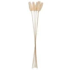 Atmosphera Bouquet de plantes séchées* Fleur Séchée