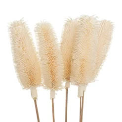 Atmosphera Bouquet de plantes séchées* Fleur Séchée