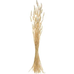 Atmosphera Bouquet de plantes séchées* Fleur Séchée