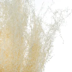 Atmosphera Bouquet de plantes séchées* Fleur Séchée