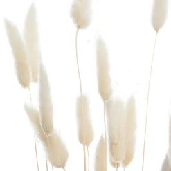 Atmosphera Bouquet de plantes séchées* Fleur Séchée