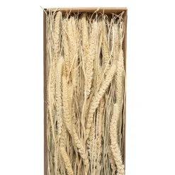 Atmosphera Créateur D'Intérieur Bouquet fleurs séchées - boîte kraft H60 cm - Beige- Atmosphera* Fleur Séchée
