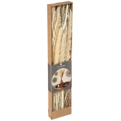 Atmosphera Créateur D'Intérieur Bouquet fleurs séchées - boîte kraft H60 cm - Beige- Atmosphera* Fleur Séchée