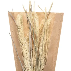 Atmosphera Créateur D'Intérieur Bouquet fleurs séchées H45 cm - Blanc- Atmosphera* Fleur Séchée