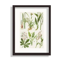 Clearance Ariane Cadre photo en bois noir, double verre 21 x 29 , Duali