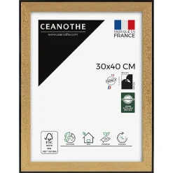 Ceanothe Cadre photo loft noir 30x40 cm Fabriqué en France* Cadre 30 X 40 Cm - A3