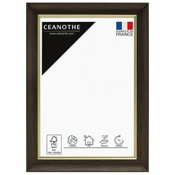 Ceanothe Cadre photo luna ébène doré 10x15 cm Fabriqué en France