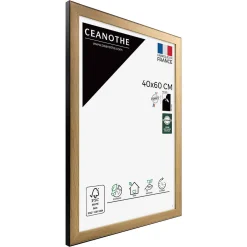 Ceanothe Cadre photo newton bois noir 40x60 cm Fabriqué en France* Cadre 40 X 60 Cm - A2