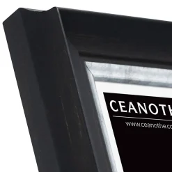 Clearance Ceanothe Cadre photo pandore noir argent 10x15 cm Fabriqué en France