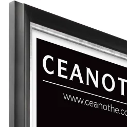 Ceanothe Cadre photo pandore noir argent 60x80 cm Fabriqué en France* Cadre 60 X 80 Cm