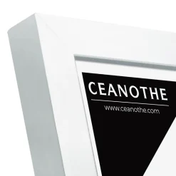 Ceanothe Cadre photo precious acier 10x15 cm Fabriqué en France* Cadre 10 X 15 Cm|Cadre