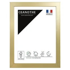 Ceanothe Cadre photo precious doré 10x15 cm Fabriqué en France* Cadre 10 X 15 Cm