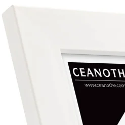 Ceanothe Cadre photo wild ébène 60x80 cm avec passe-partout 40x50 cm Fabriqué en France* Cadre 13 X 18 Cm