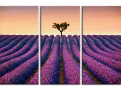 Déclina DECLINA, Tableau toile imprimée Paysage, Tableau triptyque Champs de Lavande, 90x60 cm* Tableau Déco