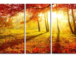 Discount Déclina DECLINA, Tableau toile imprimée Paysage, Tableau triptyque Forêt en Automne , 120x80 cm