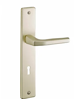 Best Thirard Ensemble de poignées pour porte intérieure Picardie trou de clé, carré 8mm, entr'axes 195mm, couleur champagne -