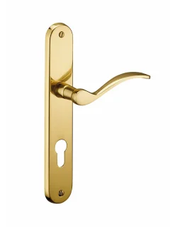 Sale Thirard Ensemble de poignées pour porte d'entrée Marianne trou de cylindre, carré 7mm, entr'axes 195mm, laiton poli -