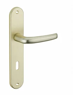 Thirard Ensemble de poignées pour porte intérieure Maia trou de clé, carré 7mm, entr'axes 195mm, couleur F2 -* Poignée Sur Plaque|Poignée De Porte Intérieure