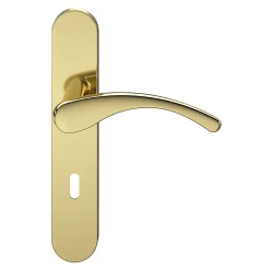 Discount GoodHome Ensemble poignée sur plaque rond serrure Ruis effet laiton doré L.138.5mm x l.42mm entraxe 165-195mm
