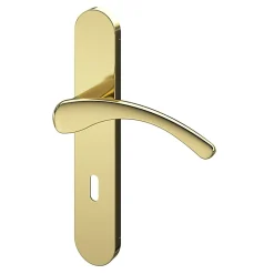 Discount GoodHome Ensemble poignée sur plaque rond serrure Ruis effet laiton doré L.138.5mm x l.42mm entraxe 165-195mm