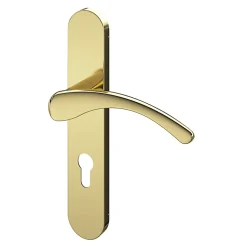Clearance GoodHome Ensemble poignée sur plaque rondcylindre Ruis effet laiton doré L.138.5mm x l.42mm entraxe 165-195mm