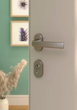 Discount GoodHome Ensemble poignée sur rosace Incurvé à visser Primel effet nickel satin gris chromé