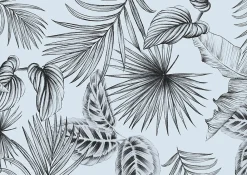 D-C-Fix Film occultant fenêtre statique feuillage noir et blanc 67,5 x 150cm ®,Botanicals* Sticker Et Adhésif Décoratif