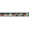 Best Plage Frise adhésive autocollante légumes aquarelle, 15 cm X 300 cm, décorative pour murs et meubles