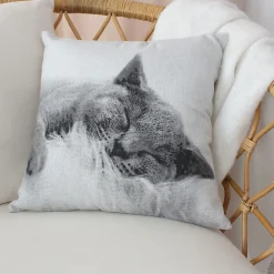 Best Cmadeco Lot de 2 Coussins déhoussables Chat, carré 40x40cm, Collection Vickie,