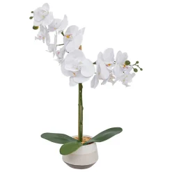 Sale Atmosphera Créateur D'Intérieur Orchidée artificielle Clera H52cm blanc - Atmosphera