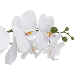Sale Atmosphera Créateur D'Intérieur Orchidée artificielle Clera H52cm blanc - Atmosphera