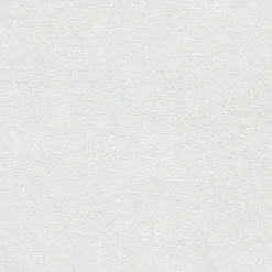 Erismann Papier peint à peindre intissé, effet griffé L.1000 x l.53cm* Papier Peint À Peindre