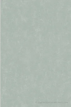 Sale A.S. Creation Papier peint expansé sur intissé Uni L.10.05 x l.0.53 m. - Réf. AS-393394